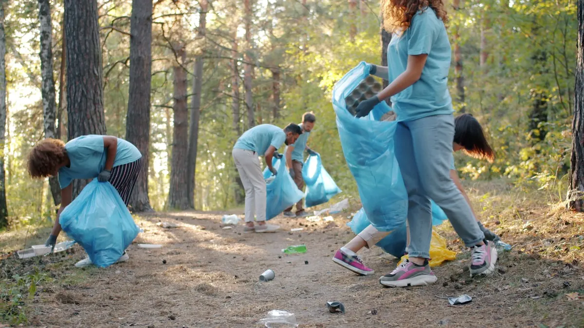 How to Organize a Valley Creek Cleanup That Gets Volunteers